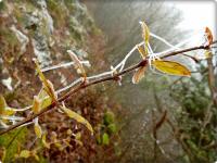 Szadziowe skarby na Zelejowej