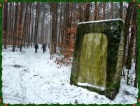 W drodze na Pierścienicę