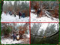 Resztki zimy w lesie