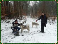 Fajne spotkanie z pieskami: haskim i malamutem;-)) właściciel wziął je ze schroniska a w tym dniu byli razem na sparku