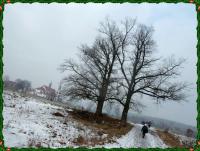 Białogon w zimowej odsłonie