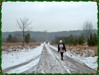 W drodze na Brusznię