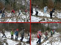 Wiśniówka- wchodzimy do lasu