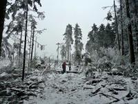 ... właśnie się zanurzają w "zimowej bajce"