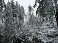 Bajkowa, zimowa kraina