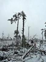 Bajkowa, zimowa kraina