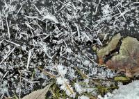 A to szron... gwiazdki jak malowane...