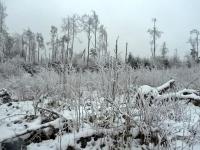 Bajkowa, zimowa kraina