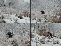 Ktoś się tutaj skrada... 