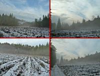 Mgły dodawały widoczkom tajemniczości