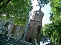 Kościół p/w św. Aleksego w Przedborzu