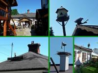 Muzeum Ludowe Ziemi Przedborskiej