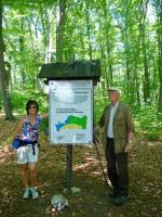 Rezerwat Bukowa Góra