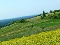 Rezerwat przyrody Murawy Dobromierskie