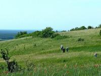 Rezerwat przyrody Murawy Dobromierskie