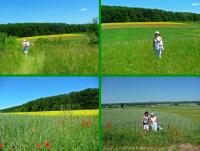 Rezerwat przyrody Murawy Dobromierskie