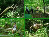 Droga do starego szybu kopalnianego nie była łatwa 