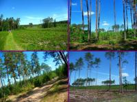 Lazur i błękit nieba- nic nam więcej nie potrzeba...