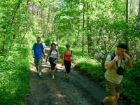 IDZIEMY JUŻ RAZEM ZE WSZYSTKIMI