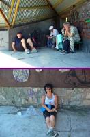 Życie SZWĘDACZY ŚWIĘTOKRZYSKICH nie zawsze jest łatwe