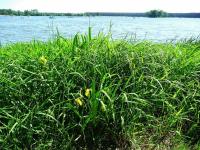 Czas już na nas... pora wracać do domu...