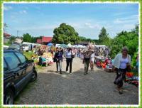 PIELGRZYMKA PRZYGODY NA GÓRĘ WITOSŁAWSKĄ...