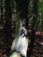 WYPRAWA W GÓRY STOŁOWE 