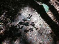 WYPRAWA W GÓRY STOŁOWE 