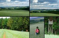 WYPRAWA W GÓRY STOŁOWE 