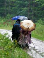 A oto nowy gatunek grzybów... "PARASOLNIKI" ;-))))