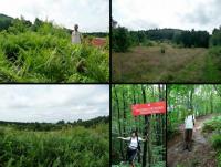 Przed nami Góra Perzowa