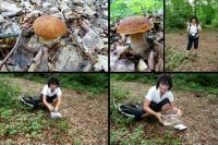 Moje małe grzybobranie