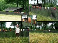 podojdi do płota jak i ja podchodze...