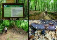 Rezerwat Barania Góra