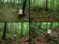 podziwiamy wąwozy...