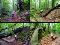 ... oraz się w nich lansujemy...