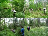 W drodze na BABIĄ GÓRĘ