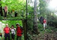 Na szczycie miała byc mała przerwa ale owadzie wampirki skutecznie nas przegoniły