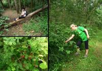 Ja odpoczywam a grażynka delektuje smak jeżyn