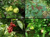 i jej koloryt też????