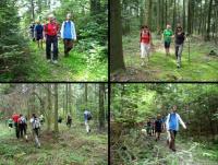 Koniec lenistwa, dale w droge