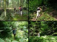 Wspinaczka na Górę Dymińską