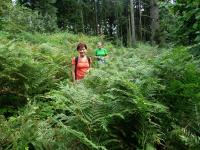 EWA i GRAŻYNKA  w paprociach