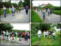 poszukujemy żółtego szlaku