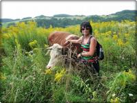 Lansik z krówką... kochabna była...