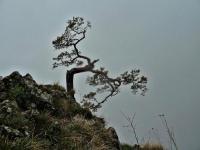 Kwietniowa wyprawa Klubu Górskiego w Pieniny