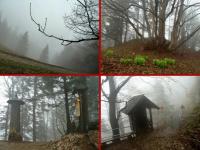 W drodze na Trzy Korony- jest trochę tajemniczo