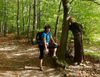 dobrze, że można oprzeć się o drzewo