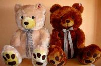 Tylko misie mają pysie...