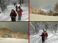 Wyjazd Klubu Górskiego w Beskid Sądecki- druga odsłona